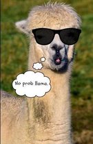 No Prob Llama