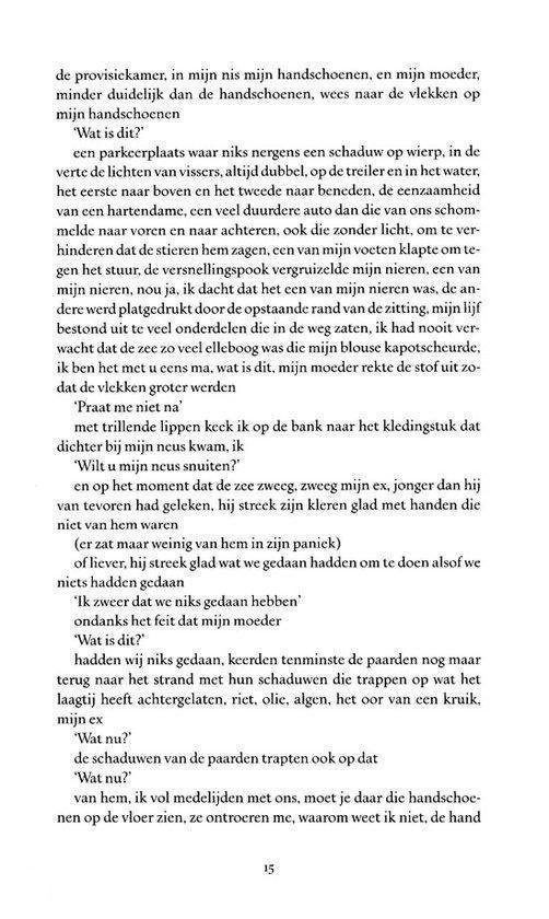 Tekstpagina met een verhaal in het Nederlands.