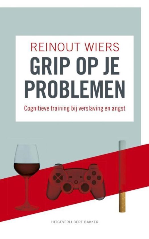 Grip op je problemen - Reinout Wiers | Do-index.org