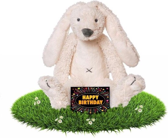 Lapin En Peluche Anniversaire 28 Cm Avec Carte D Anniversaire Gratuite Bol Com