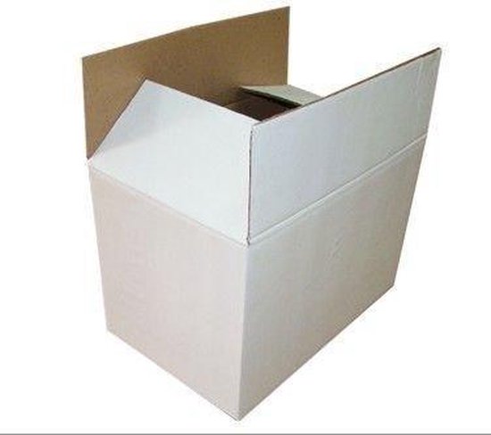 Witte kartonnen doos - 450 x 450 x 750mm - D.G. per pak a 10 stuks | bol.com