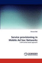 Service Provisioning in Mobile Ad Hoc Networks