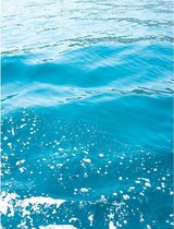 Zeewater Poster - 30x40cm – WALLLL