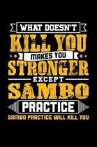 What doesn't kill you makes you stronger except Sambo practice Sambo practice will kill you