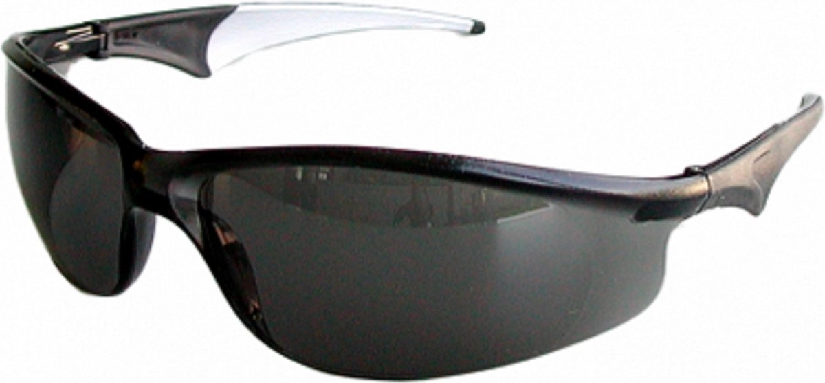 Veiligheidsbril SW 2004 donker glas