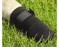 Top 10 hondensokken en hondenschoenen 2026: Beeztees beschermingsschoenen S, 2 stuks