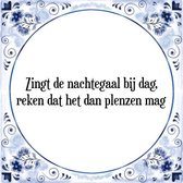 Tegeltje met Spreuk (Tegeltjeswijsheid): Zingt de nachtegaal bij dag, reken dat het dan plenzen mag + Kado verpakking & Plakhanger