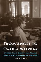 The Mexican Experience - From Angel to Office Worker