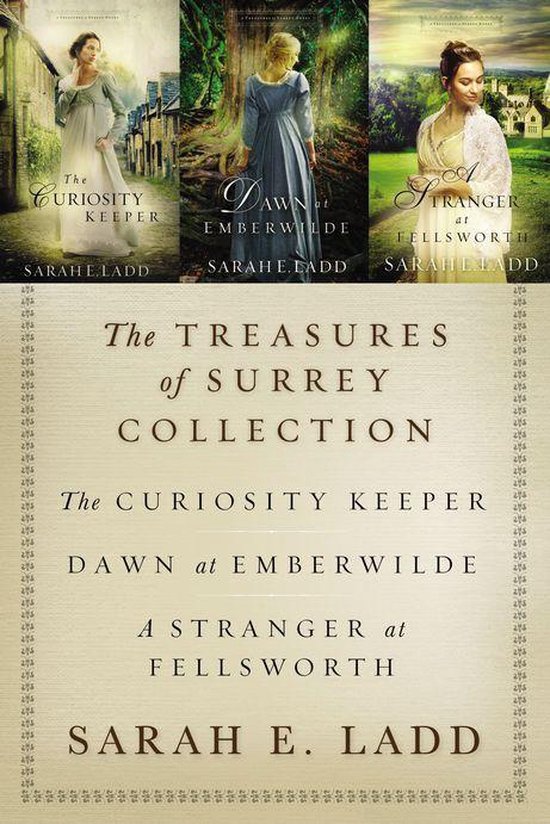 A Treasures of Surrey Novel - The Treasures of Surrey Collec ... - cover