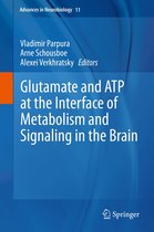 Advances in Neurobiology 11 - Glutamate and ATP at the Interface of Metabolism and Signaling in the Brain