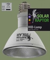Solar Raptor HID lamp, 35 watt Flood