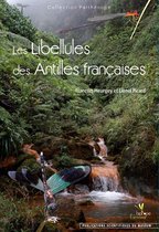 Collection Parthénope - Les Libellules des Antilles françaises