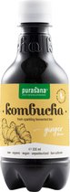 Purasana Komboecha Drink Fresh Gember Bio 330 ml