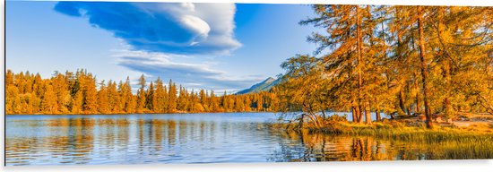 Dibond - Oranjekleurige Bomen langs Rand van Meer - 120x40 cm Foto op Aluminium (Met Ophangsysteem)