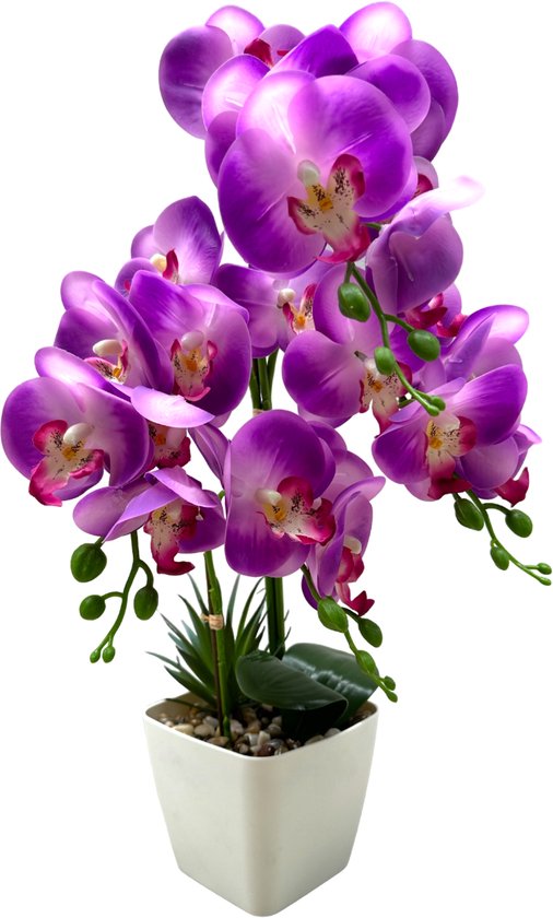 Orchidee Paars Kunstbloem Met Witte Pot 55cm | Flora City | Kunstbloem kunstplant | Kunstorchidee | Nep orchidee | Levensechte Kunstorchidee