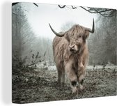 OneMillionCanvasses - Muurdecoratie - Schotse hooglander - Natuur - Herfst - Bos - 40x30 cm - Woonkamer - Slaapkamer - Canvas schilderij koe