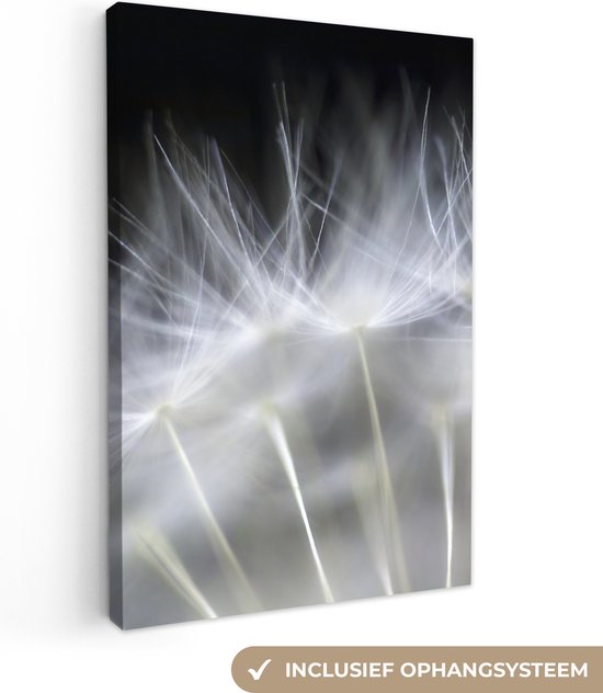 Canvas schilderij - Bloemen - Planten - Zaden - Wit - Canvasdoek - 40x60 cm - Foto op canvas - Schilderijen op canvas