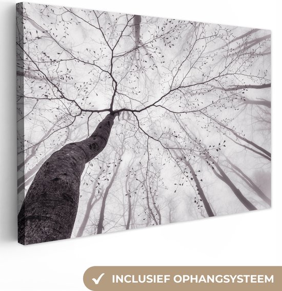 Peinture sur toile - Arbres - Brouillard - Nature - Forêt - Canvasdoek - Décoration murale - Photo sur toile - 30x20 cm - Peintures sur toile