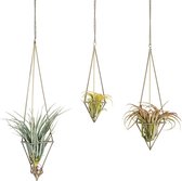 PCs van 3 metalen hangende luchtplantenhouders Himmeli, moderne geometrische plantenbak met ketting, bronzen lucht plantenhanger, Tillandisia lucht