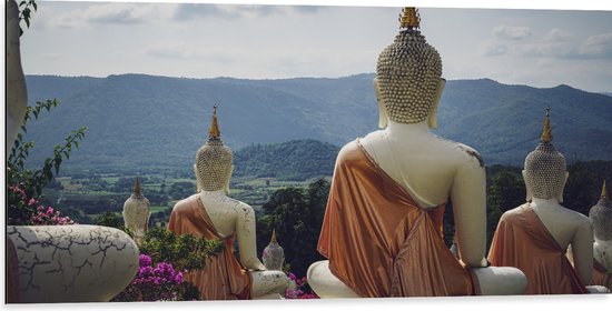 Dibond - Buddhas - Bloemen - Bergen - Bomen - 100x50 cm Foto op Aluminium (Met Ophangsysteem)