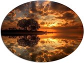 Dibond Ovaal - Bomen - Water - Zonsondergang - Oranje - Wolken - 108x81 cm Foto op Ovaal (Met Ophangsysteem)