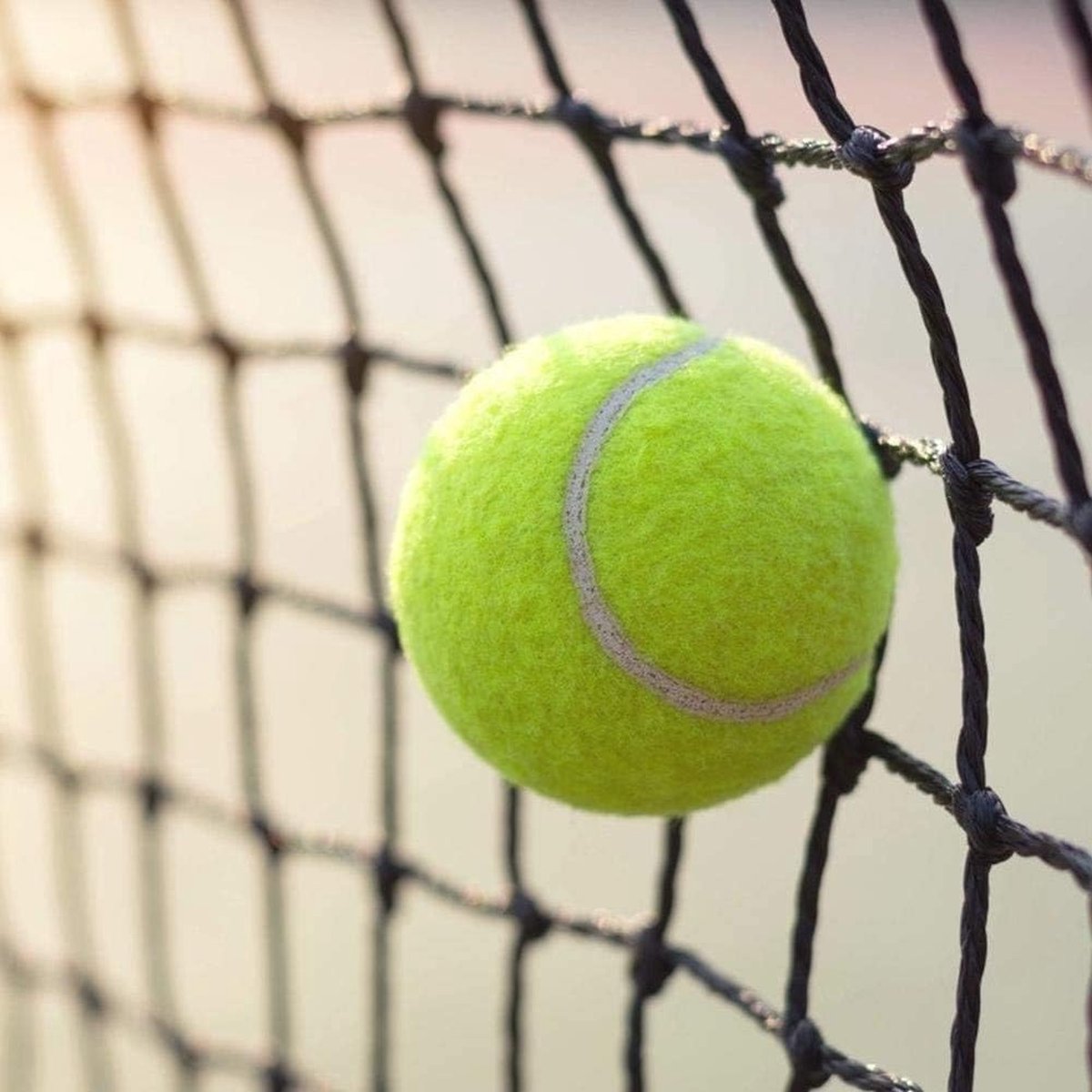 Lot De Balles De Tennis D'entraînement Sans Pression – Diamètre 6,3 Cm – Caoutchouc Souple – Débutants, Pros, Chiens