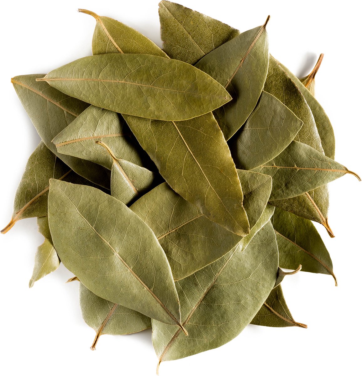 Laurier Blad Bio Kruid Laurierblad - Hele Culinaire Laurierbladeren - Kruidenthee - 100 gram