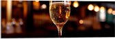 Acrylglas - Champagne - Alcohol - Bubbels - Drinken - 90x30 cm Foto op Acrylglas (Met Ophangsysteem)