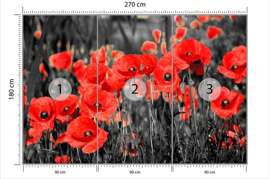 Fotobehang Klaprozen Bloemen