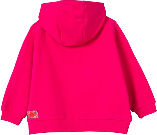 Oilily Hiphop - Sweater - Meisjes - Roze - 116