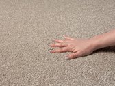 the carpet Grande Modern Pluizig Kortpolig Woonkamerkleed, Superzacht aanvoelend, Elegant en Onderhoudsvriendelijk, 060x110