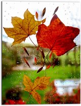 Dibond - Herfst - Bladeren - Druppels - Raam - Glas - 60x80 cm Foto op Aluminium (Met Ophangsysteem)