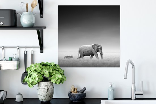 Poster Éléphant - Animaux - Paysage - Zwart et Blanc - Zèbre - 50x50 cm