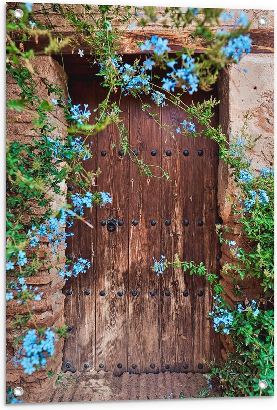 Tuinposter – Blauwe Bloemetjes Groeiend bij Houten Deur - 60x90 cm Foto op Tuinposter (wanddecoratie voor buiten en binnen)
