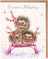 Lot de 8 cartes de Noël Wrendale - Lot de cartes de Noël hérisson « Sledgehogs »