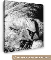 Lion au repos toile 2cm 20x20 cm - petit - impression photo sur toile peinture Décoration murale salon / chambre à coucher) / Animaux sauvages Peintures Toile