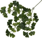 Terra Della - Terrariumplant - Reptielen - Hangende Plant Ginko 63x36x5cm Donkergroen - 1st