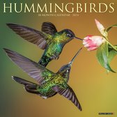 Hummingbirds 2024 12 X 12 Wall Calendar