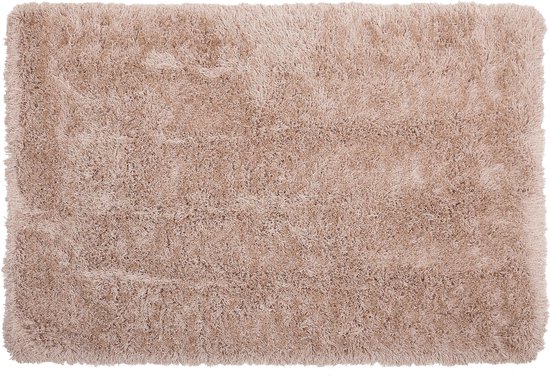 CIDE - Shaggy vloerkleed - Beige - 160 x 230 cm - Polyester