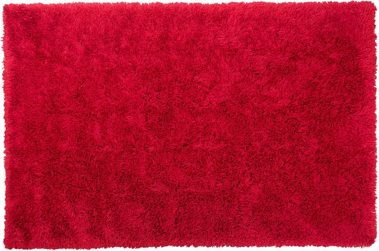 CIDE - Shaggy vloerkleed - Rood - 160 x 230 cm - Polyester