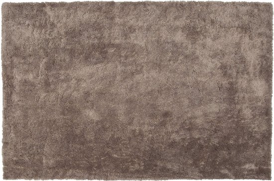 EVREN - Shaggy vloerkleed - Bruin - 160 x 230 cm - Polyester