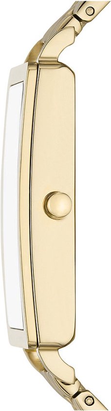 Montre Femme Skagen HAGEN SKW3098 22 mm - Or