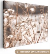 Canvas Schilderij Droogbloemen - Wit - Planten - 80x60 cm - Wanddecoratie