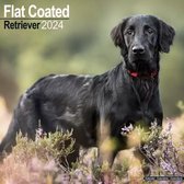 Calendrier Flat Coated Retriever 2023