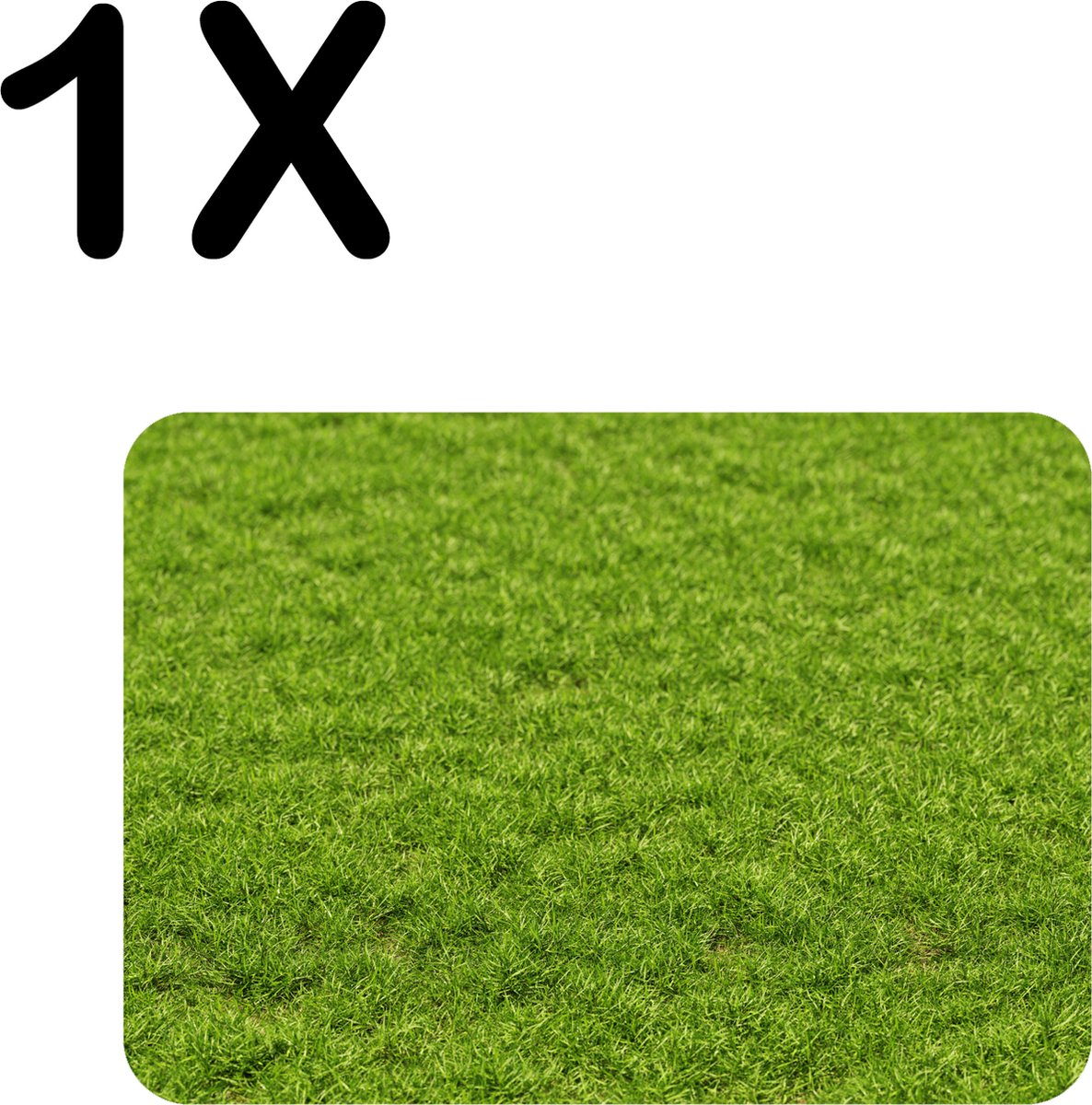BWK Flexibele Placemat - Groen Gras - Set van 1 Placemats - 40x30 cm - PVC Doek - Afneembaar