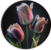 Dibond Muurcirkel - Roze tulpen voor een zwarte achtergrond - Bloemen - 20x20 cm Foto op Aluminium Muurcirkel (met ophangsysteem)