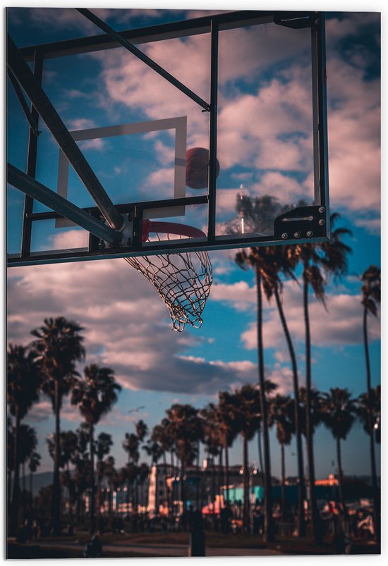 Dibond - Bal Vallend in Basket bij Palmbomen - 70x105 cm Foto op Aluminium (Met Ophangsysteem)