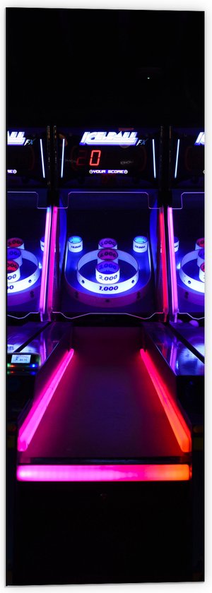 Dibond - Ballengooien Spel in Arcade Hal - 40x120 cm Foto op Aluminium (Met Ophangsysteem)