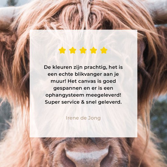 Peinture sur toile - Highlander écossais - Vache - Animaux - Berg - Peintures sur toile - Décoration murale - Tableau sur toile - 150x100 cm