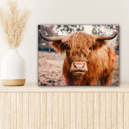 Tableau sur toile - Highlander - Animaux - Vache - Peintures salon - Décoration chambre - Toile toile - 40x30 cm